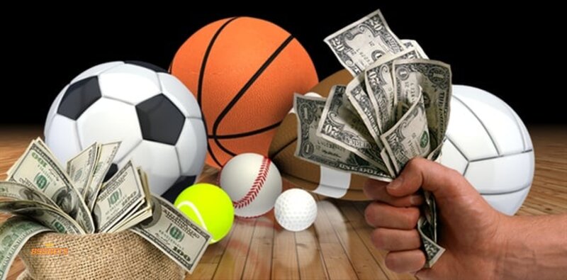 855Bet Sports - What Is 855Bet Sports?