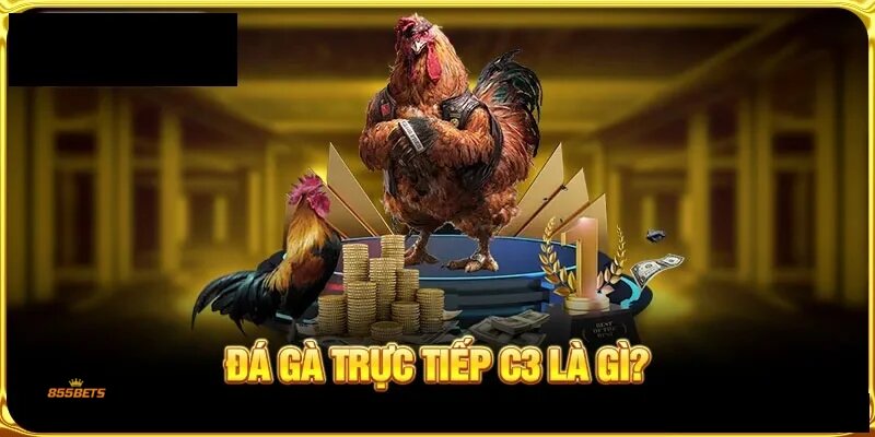 cockfighting form analysis - A Step-by-Step Learning Method